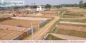 Land for Sale In  Chintamaniswar Bhubaneswar (91-720-564-8119)