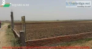 Land for Sale In  Chintamaniswar Bhubaneswar (91-720-564-8119)