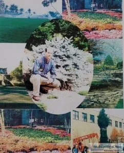 Landscape Design