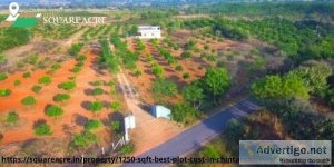 Land For Sale At Cheap Price And Best Location In  Chintamaniswa