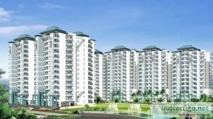 3 bhk flats in gurgaon for sale