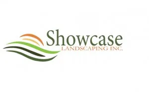 Are you Looking for the Best Mini Excavation Services in Langley