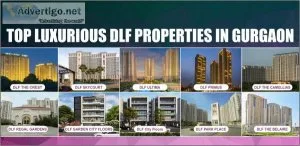 Luxury dlf floors in gurgaon