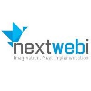 Web application development