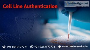 Cell line authentication dna test in india