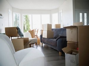 Budget city movers: movers and packers in dubai - movers in duba