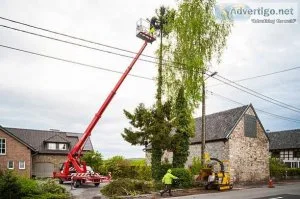 NY Tree Removal