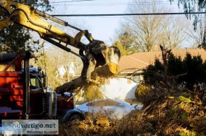 Best Tree Services in Buffalo