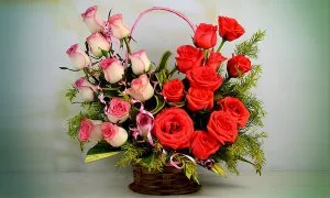 Send flowers to india