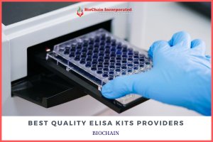 Want Top-Notch ELISA Kits Call Biochain Today