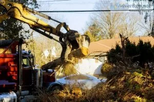 Land Clearing Contractors Near Me Buffalo NY