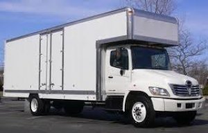 Your Every Day Movers
