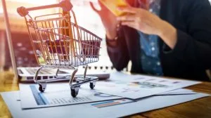 Ecommerce Development Company in Delhi