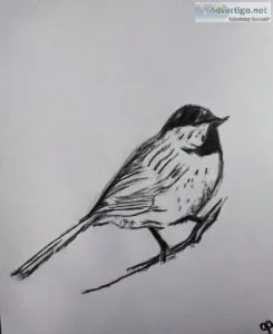 Black and White Winter Robin Bird GG &ndash 8.5&Prime x 11&Prime