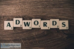 Paid Advertising Solutions  Clearwater Florida