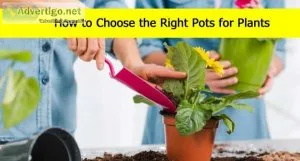 Pots for plants pots for plants online