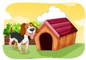 Long Term Dog Boarding-OKC-Moore Vera s Posh.