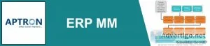 Sap mm training institute in delhi