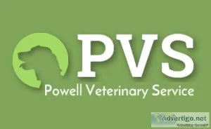 Boarding Services For Dogs and Cats Near Greeley Evans Gilcrest 