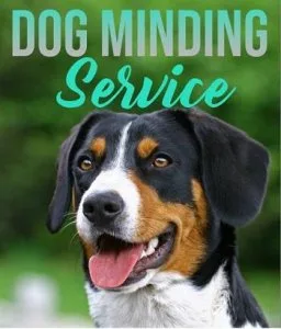 The Best Dog Minding-OKC-Moore Vera s Posh Paws.