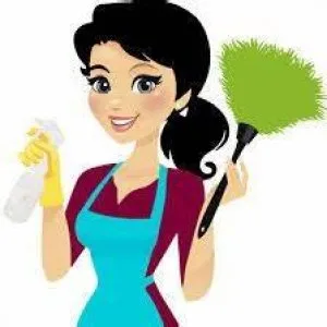 CLEANING LADY AFFORDABLE PROFESSIONAL