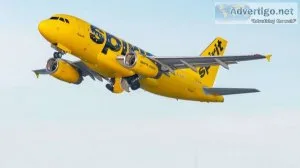 How do i speak to a live person at spirit airlines?