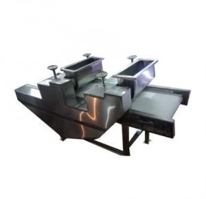 Manufacturer of Aam Papad Cutting Machine Noida