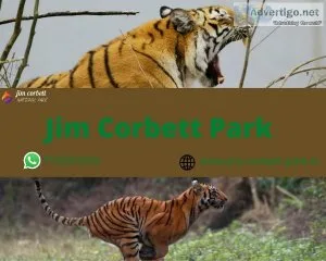 Things to do in Jim Corbett National Park