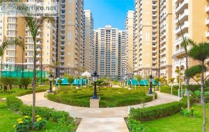 Best flats for rent in gaur city noida extension
