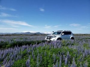 private tours Iceland