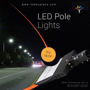 Buy LED Pole Lights at Cheap Price