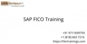 Sap fico training