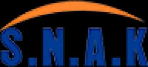 SNAK is a global IT serviceconsulting and outsourcing company