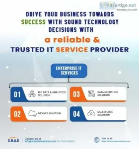 About Us  Why Choose SNAK Consulting Services  SCS