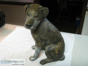 Plaster POOCH