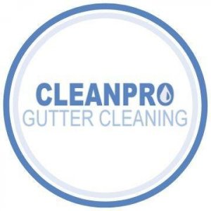 Clean Pro Gutter Cleaning Powell
