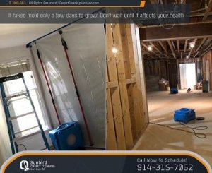 Mold Remediation in Harrison