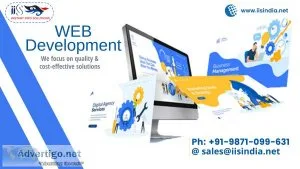 Best website design company in delhi | iisindia