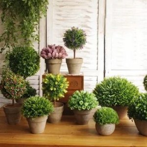 How to grow your houseplants in fabric pots?