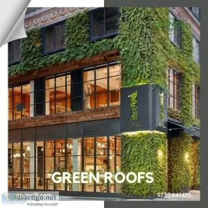 Green roofs