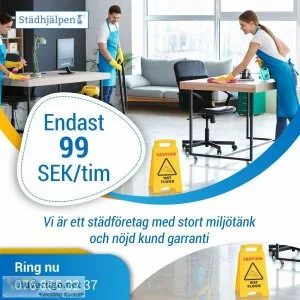 Professionell F&oumlnsterputsning i Sk&aringne