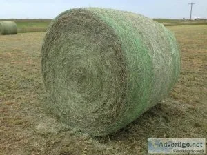 2021 First cut hay for sale