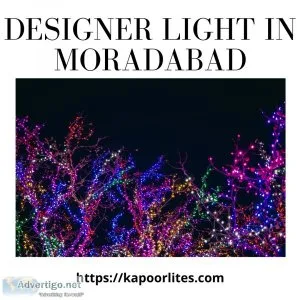 Designer Light In Moradabad