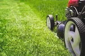 Sprinkler companies for sale