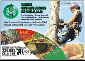 Tree Clearning and Removal and Land Clearing - FREE ESTIMATE