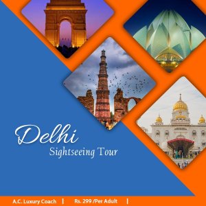 Famous delhi sightseeing package by bus