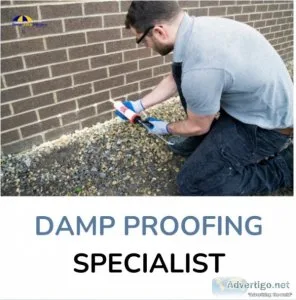 Hire the damp proofing specialist in sheffield at affordable rat