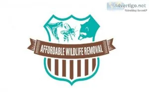Contact AWremoval For Snake Removal In Florida