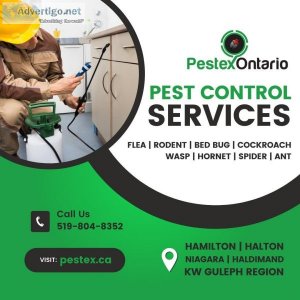 Pest Control in Niagara