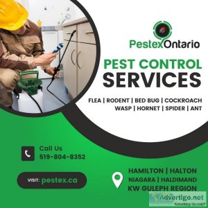 Pest Extermination in Hamilton